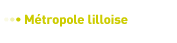 Mtropole lilloise